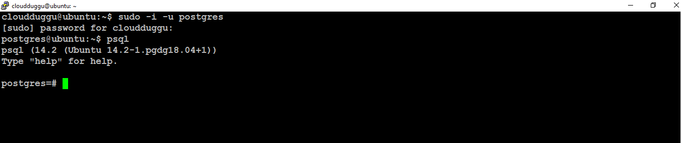 PostgreSQL数据库登录后界面 